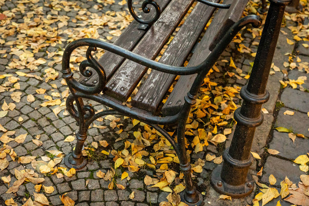 bench in the park - Zdjęcie, obraz