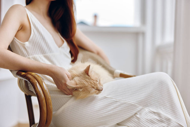 pretty woman sitting on the terrace with a cat Happy female relaxing - Foto, Imagen