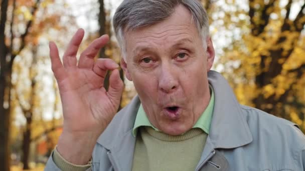 Close-up portrait elderly man positive grandpa showing consent sign looking at camera in autumn park smiling happily outdoors caucasian old male says okay gesture good mood satisfied senior retiree - Filmagem, Vídeo