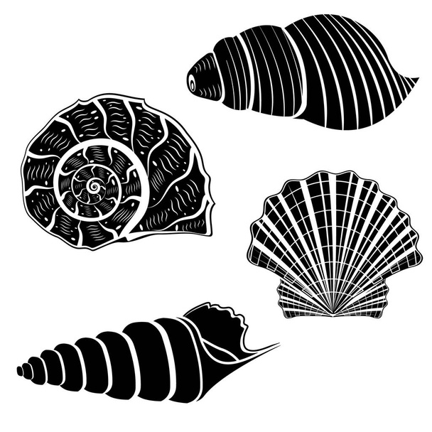 The set is an insulated seashell. Vector illustration, black stencil icon. - Вектор,изображение