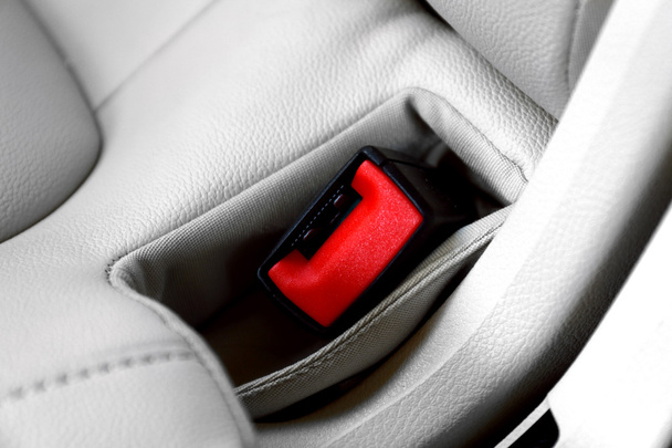 Seat belt on leather chair - Foto, Imagen