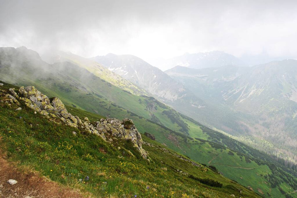 Beautiful mountain landscape. A trail leading through the Tatra National Park. - Фото, изображение