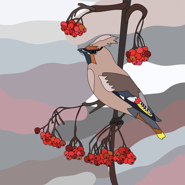 Vector winter bird on rowan branch with berries can be used as background,textile or fabric decor, poster idea, etc. - Vektör, Görsel