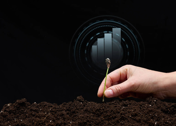 female hand plants a sprout in the ground and a holographic graphic on a black background. Business start-up concept, performance growth. Profitable new startup - Foto, Imagem