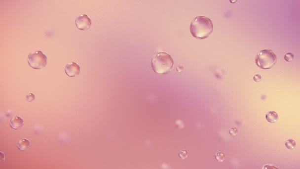 Roze zeepbel vastgehouden aan het glas water - Video