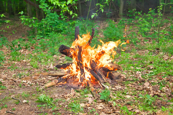 Táborový oheň - Fotografie, Obrázek