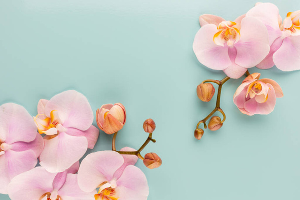 Pink orchid theme objects on pastel background. - Fotografie, Obrázek
