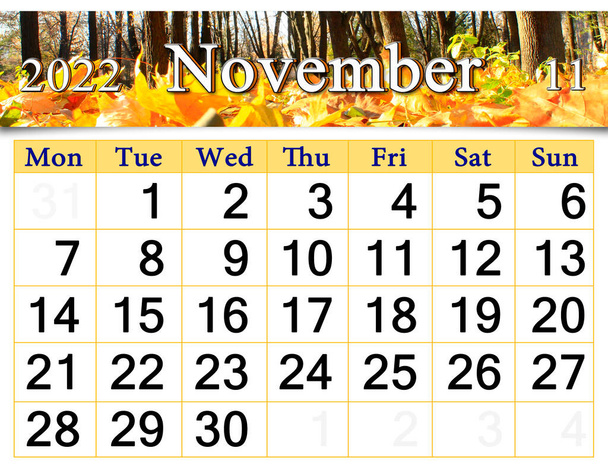 calendar for November 2022 with autumn park with fallen leaves in autumn park. autumn calendar November 2022. Calendar Printable. wall calendar with seasonal natural photo. Autumnal park with yellow leaves - Foto, Imagen