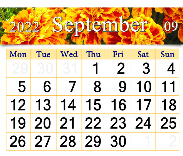 calendar for september 2022 with autumn flowers marigolds. autumn calendar september 2022. Calendar Printable. wall calendar with seasonal natural photo. Autumnal park with yellow flowers - Fotoğraf, Görsel