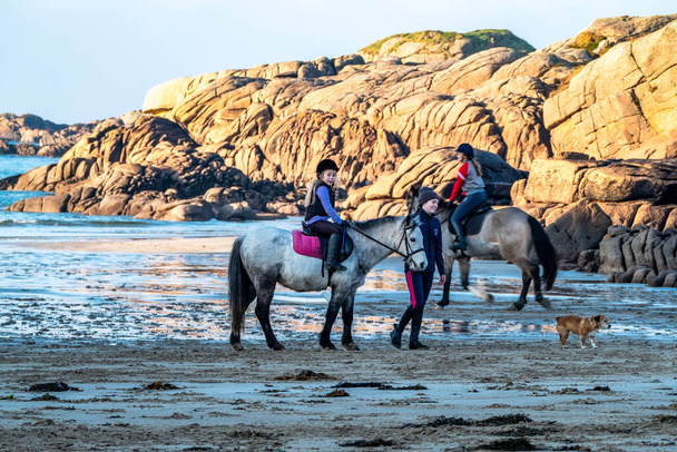 Burtonport, County Donegal, Ireland - December 18 2021 : The ward family is riding their horses on the beach - Zdjęcie, obraz
