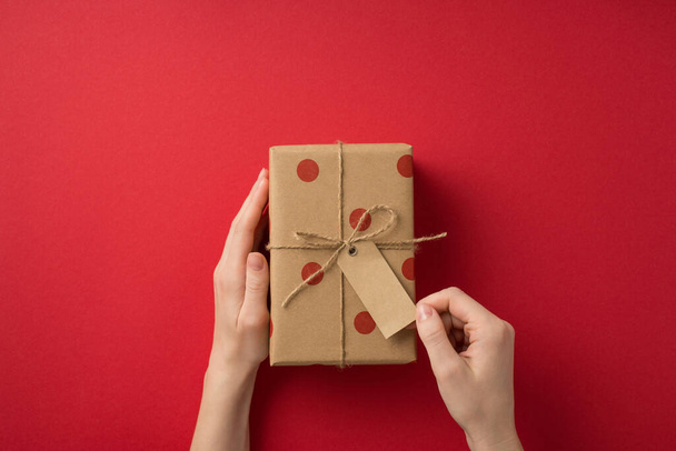 First person top view photo of valentine's day decorations woman's hands touching pricetag on craft paper giftbox with polka dot pattern and twine bow on isolated red background with empty space - Foto, Bild