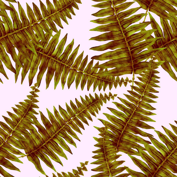  Watercolor seamless pattern with fern leaves. Foliage decoration. Vintage botanical exotic illustration wallpaper. - Foto, Imagen