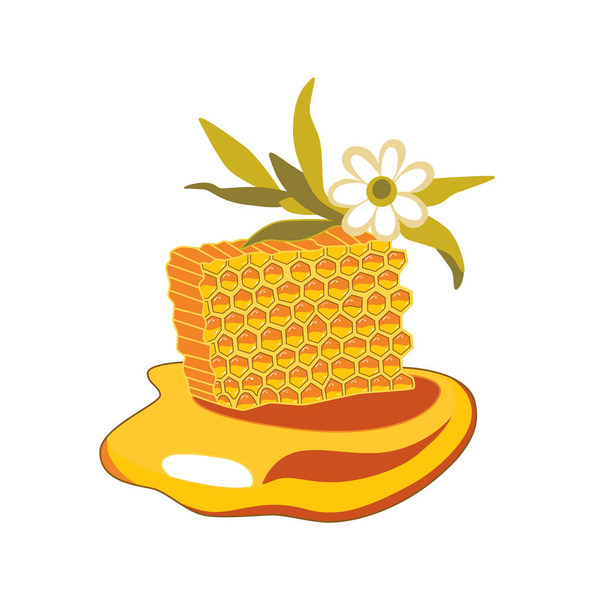 Vector color illustration with honeycombs, a white flower and a puddle of honey. - Wektor, obraz