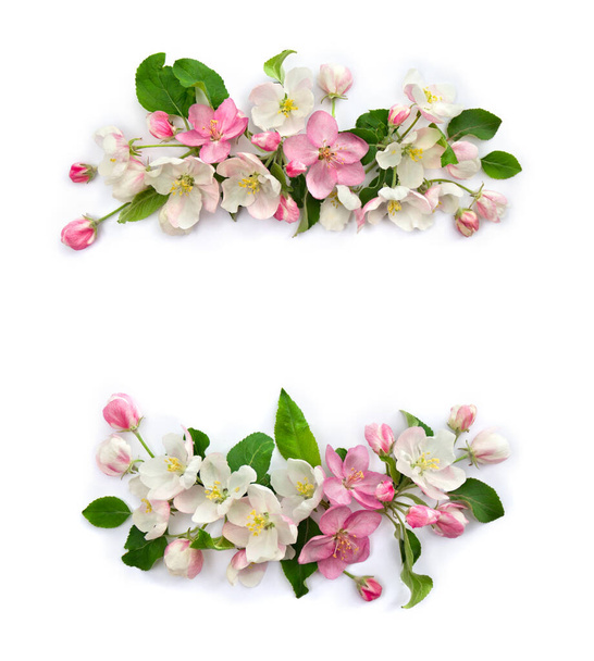 Frame of flowers apple tree, pink and white blossom on a white background with space for text. Top view, flat lay - Fotó, kép
