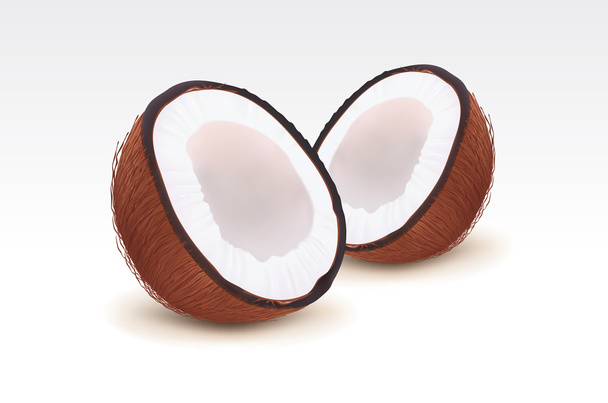 Orzechy kokosowe - Wektor, obraz