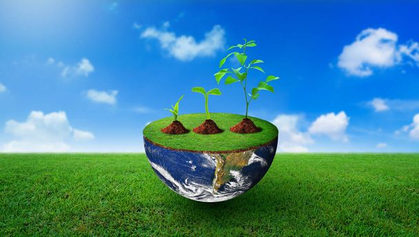 Plants of different sizes on half sphere with green grass on. Nature and Blue sky Background. Environmental stewardship, World Environment Day, and Saving environment Concept. Image furnished by NASA. - Φωτογραφία, εικόνα