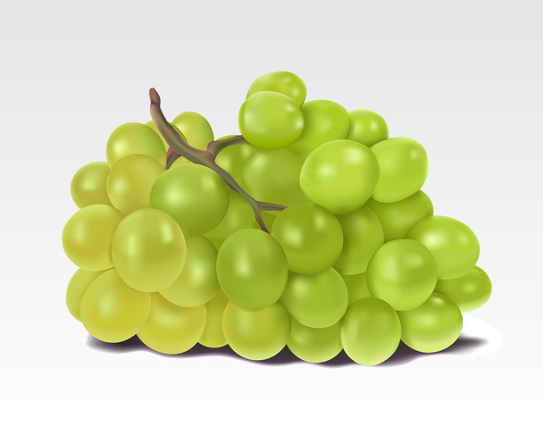 zielony winogron - Wektor, obraz