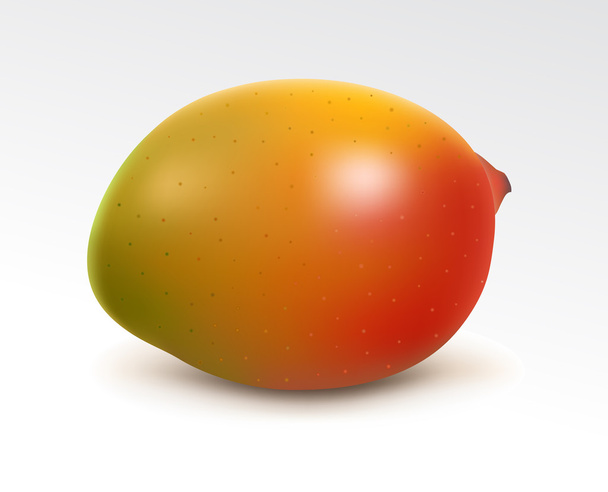 olgun mango - Vektör, Görsel