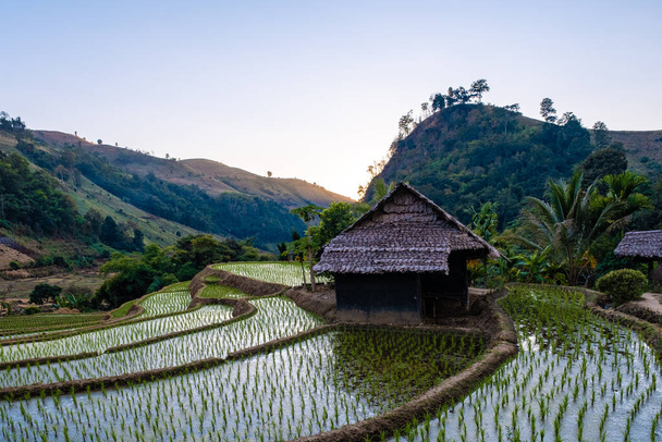 rice fields in Northern Thailand, rice farm in Thailand, rice paddies in the mountains of Northern Thailand Chiang Mai Doi Inthanon - Foto, Imagen