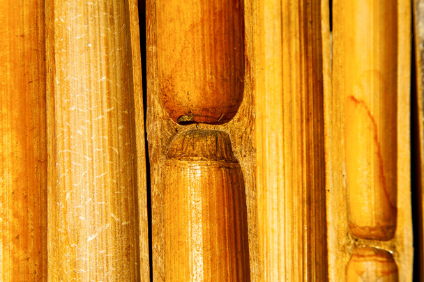 thailändischer abstrakter Bambus in der Tempelbucht Kho Phangan  - Foto, Bild