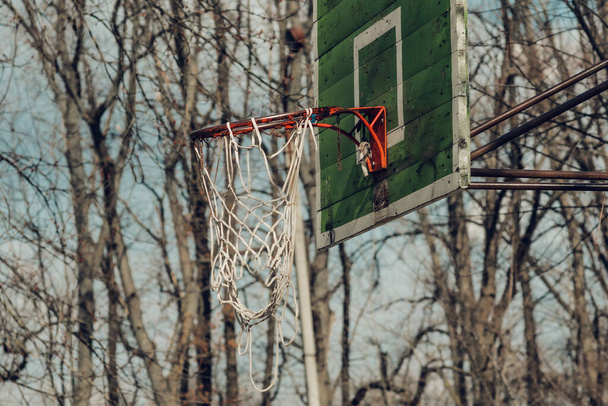 street basketball hoop on tree branches - Foto, Bild