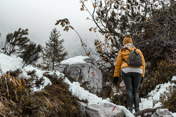 woman hiker in snowy mountains - Fotografie, Obrázek