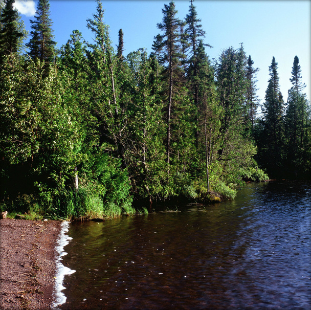 Brule jezero - Minnesota hranici vod kánoe oblast divočiny - Fotografie, Obrázek