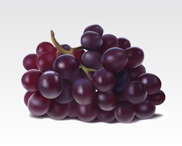Um bando de uvas
 - Vetor, Imagem