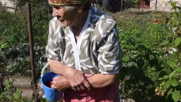 Portrait of tired grandmother with wrinkled face talk standing in kitchen garden - Filmati, video