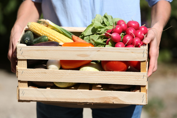 Fresh organic vegetables in wooden box in hand outdoors - Foto, Bild