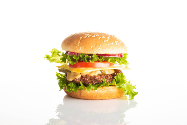 burger on a light background - Fotoğraf, Görsel