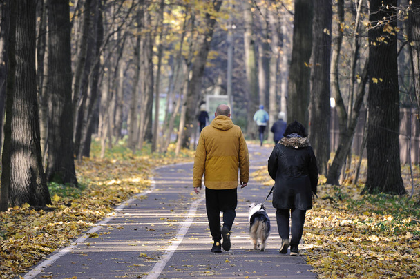 people walk through the autumn park with fallen leaves - autumn landscape - Φωτογραφία, εικόνα