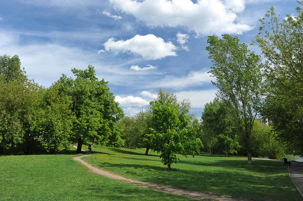 landscape with a green park and blue clouds on Izmailovsky island in Moscow - Foto, immagini