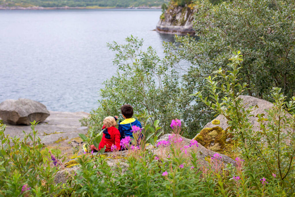 Beautiful children, cute boys, sitting on a rock on the edge of a fjord in Lofoten, Norway - Foto, afbeelding