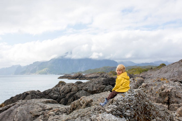 Child, enjoying a picturesque view from the edge of a cliff in Lofoten, Norway. Amazing beautiful norwegian nature, summertime - Fotografie, Obrázek