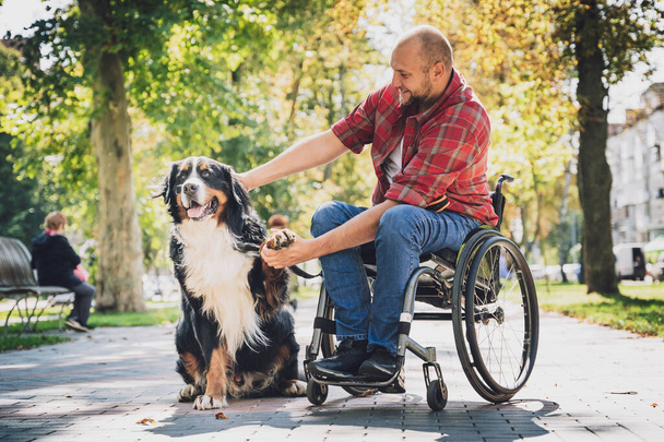 Happy young man with a physical disability who uses wheelchair with his dog. - Фото, зображення