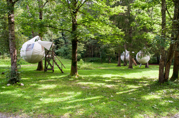 Tentes en tissu accrochées à un arbre dans un camping dans les bois (Kranjska Gora, Slovénie) - - Photo, image