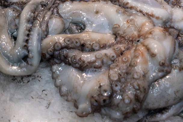 Octopus in open seamarket, Napoli - Fotografie, Obrázek