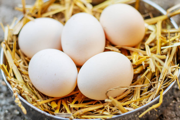 Φρέσκα αυγά κότας στο σανό μιας φάρμας. Επιλεκτική εστίαση στα ζώα - Φωτογραφία, εικόνα