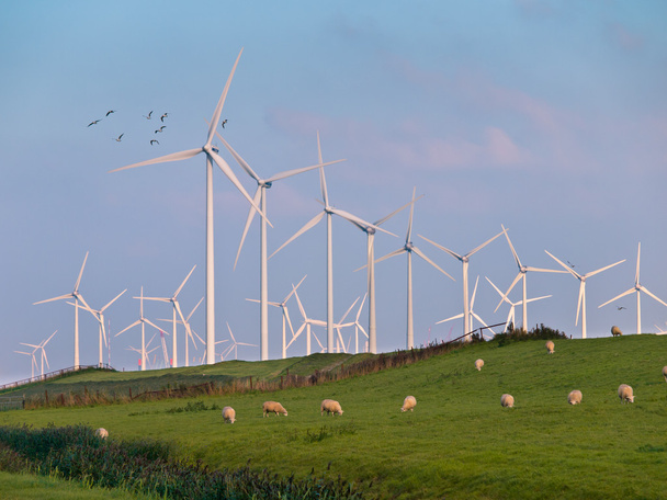 Ветряная турбина и птицы
 - Фото, изображение