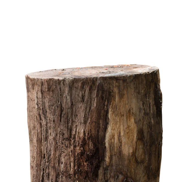 wooden log or wooden timber isolated on white background. - 写真・画像