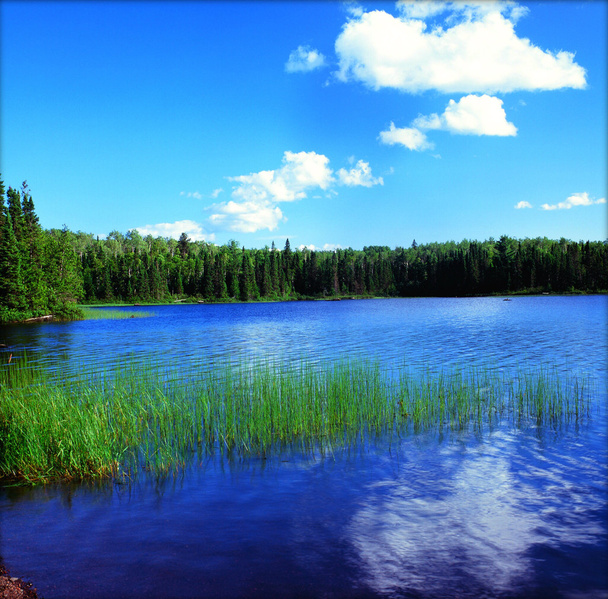 Сценарий озера Гомер - Миннесота Boundary Waters Canoe Area Wilderness
 - Фото, изображение