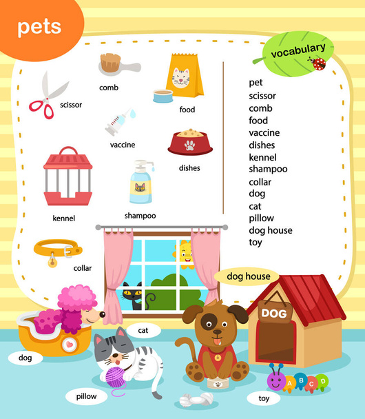 education vocabulary pets vector illustration - Vetor, Imagem
