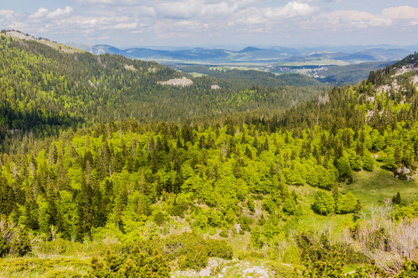 Landscape of Durmitor national park, Montenegro. - Foto, immagini