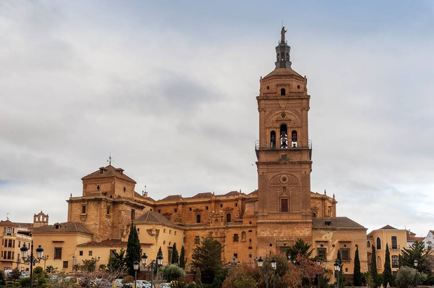Cattedrale dell'Incarnazione di Guadix, Granada. - Foto, immagini