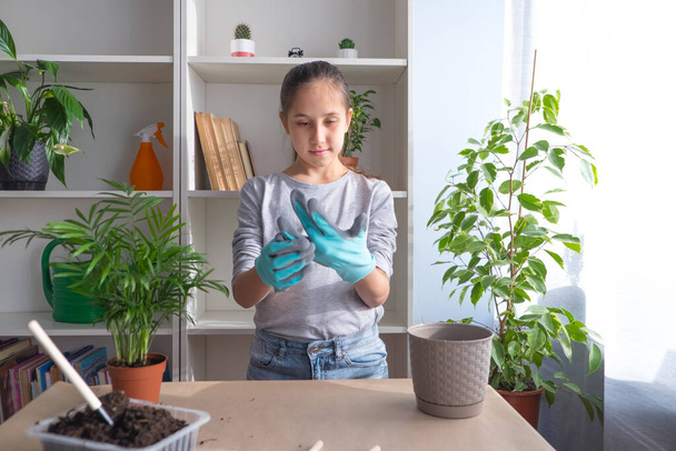 Teenager girl looks after, transplants flowers, puts on gloves. Home garden concept. - Photo, Image