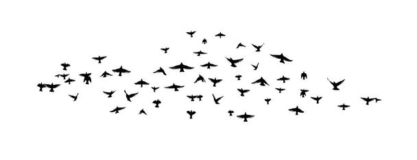 Een zwerm vliegende vogels. Gratis vogels. Vectorillustratie - Vector, afbeelding