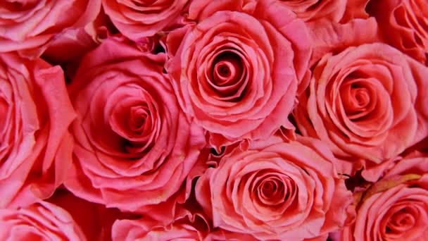 Bouquet rouge de fleurs rose comme cadeau pour des vacances tourne en gros plan - Séquence, vidéo