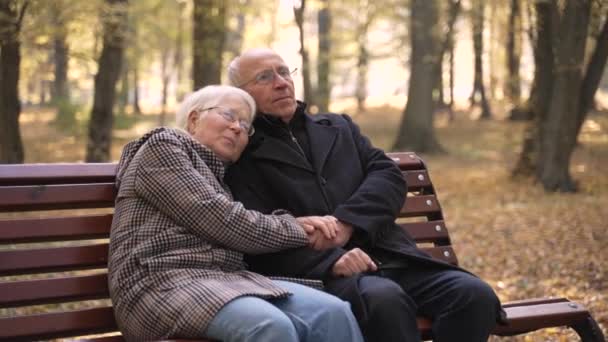 Feliz pareja de ancianos sentados en el banco en el parque - Metraje, vídeo