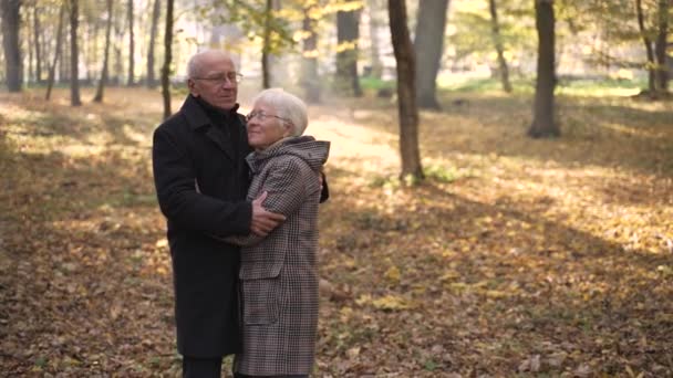 Happy old couple dancing in autumn park - Materiał filmowy, wideo